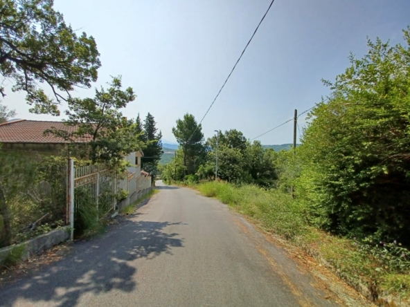Terreno a Finocchito di Ogliastro Cilento