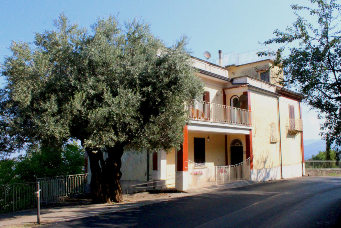 Palazzo storico a Laureana Cilento