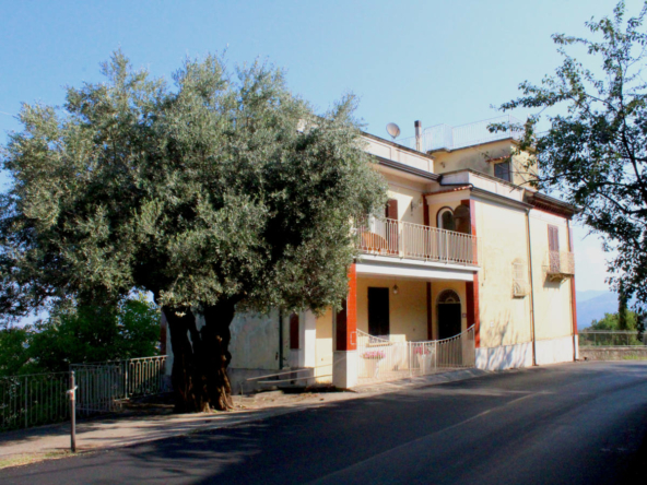 Palazzo storico a Laureana Cilento