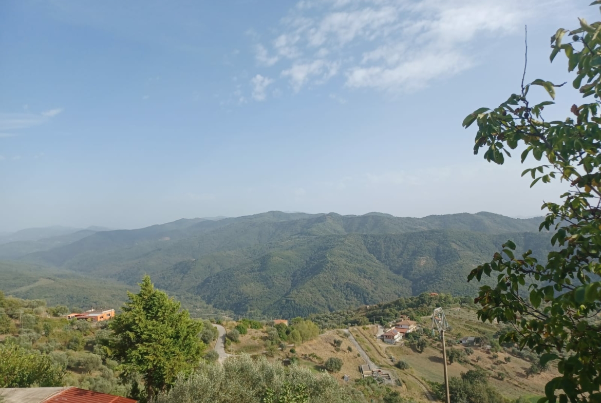 Terreno di 12 ettari a Cicerale