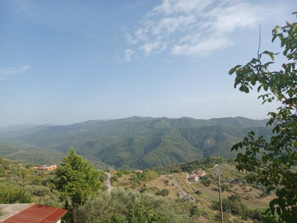 Terreno di 12 ettari a Cicerale