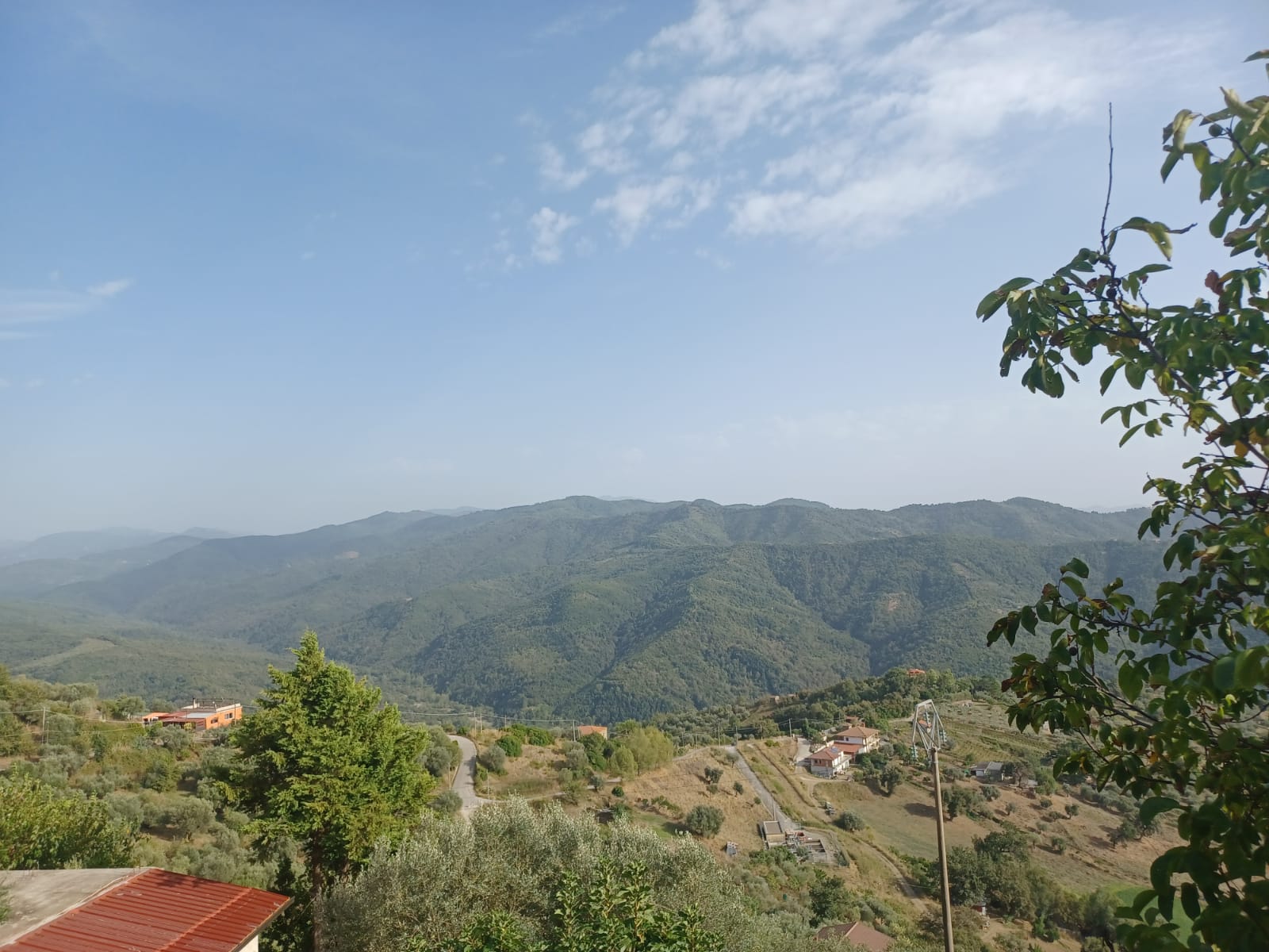 Terreno di 12 ettari a Cicerale