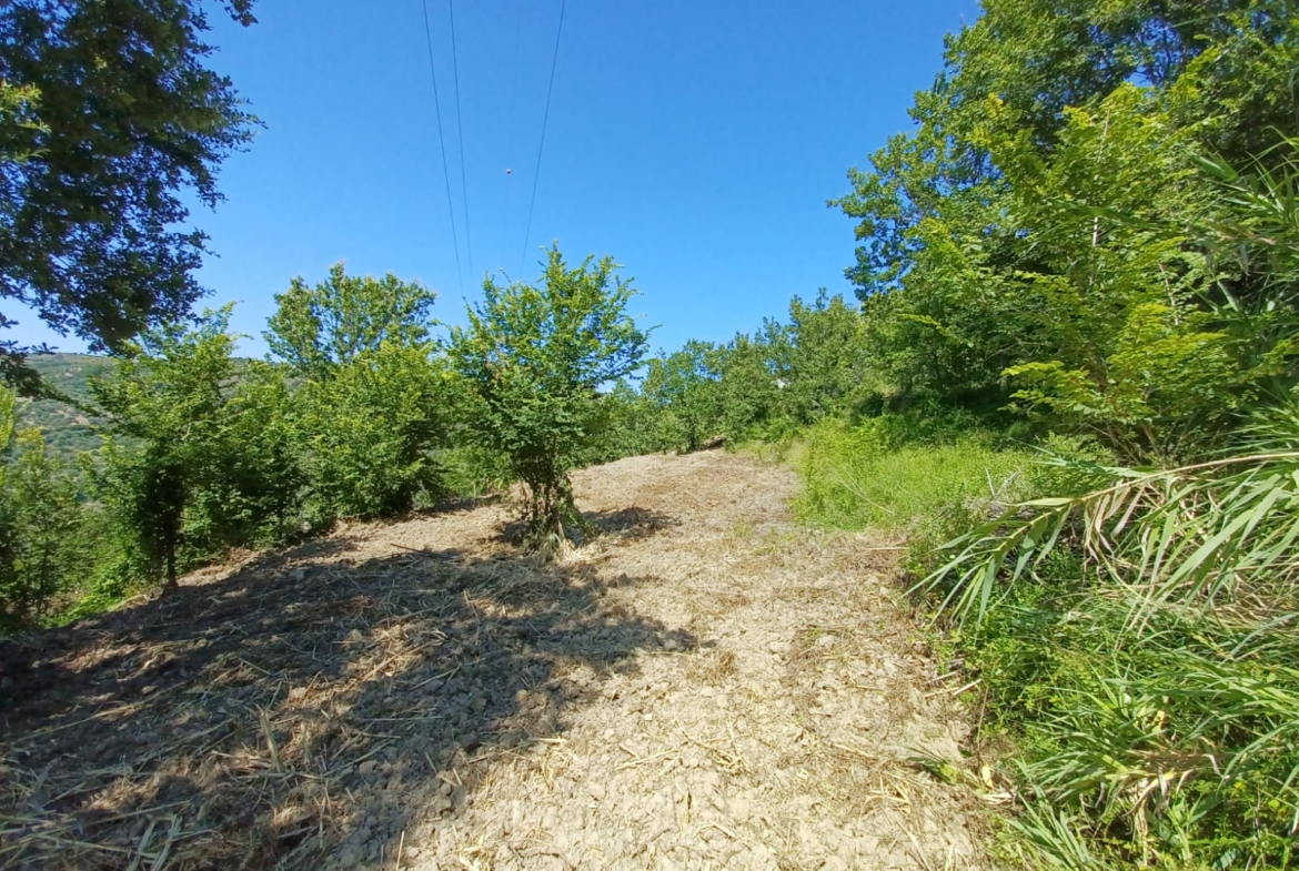 Terreno di 5.000 mq ad Agropoli località Campanina