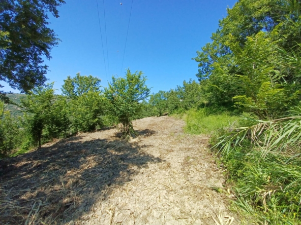 Terreno di 5.000 mq ad Agropoli località Campanina