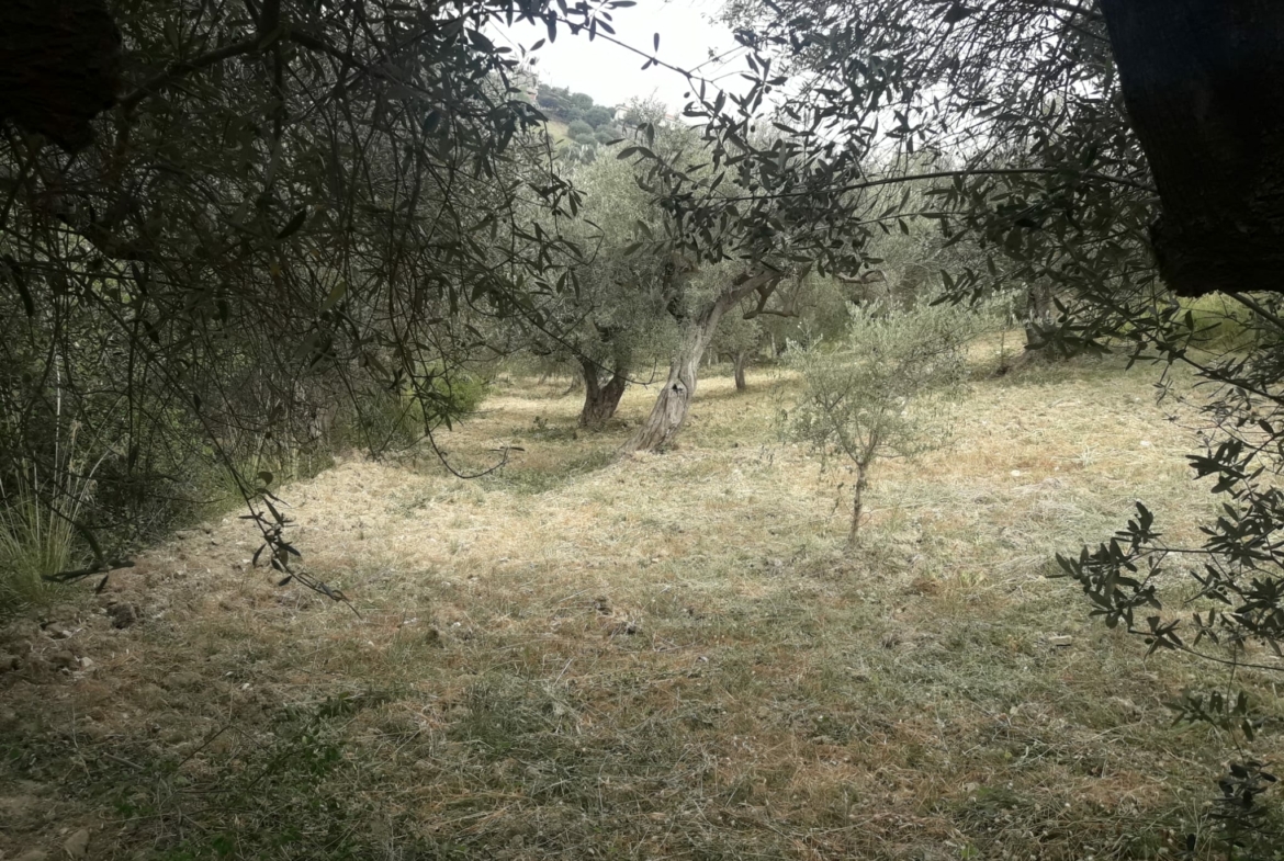 Terreno ad Agropoli, Via Settembrini 7