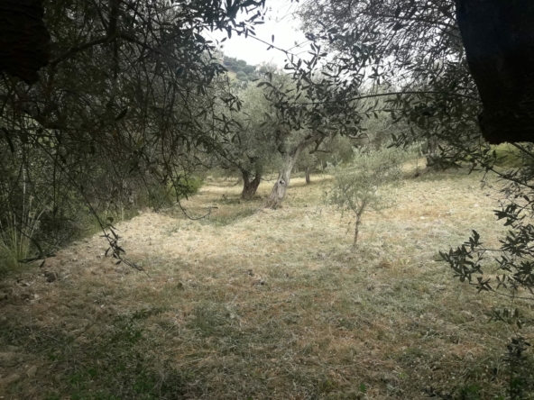 Terreno ad Agropoli, Via Settembrini 7