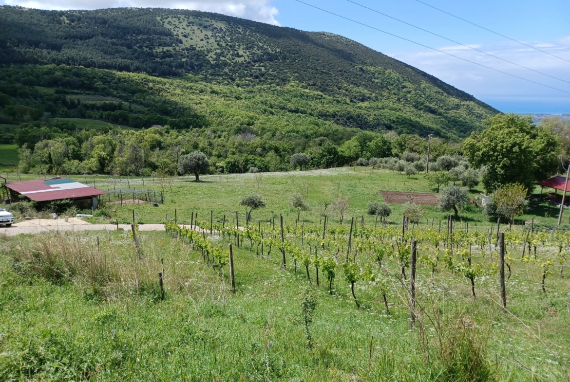 Terreno in vendita a Capaccio, Via Strettina Scorziello