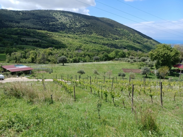 Terreno in vendita a Capaccio, Via Strettina Scorziello