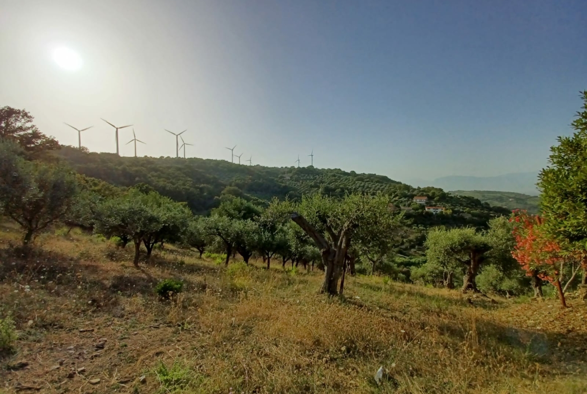Terreno con rudere ad Albanella in Via Chirico
