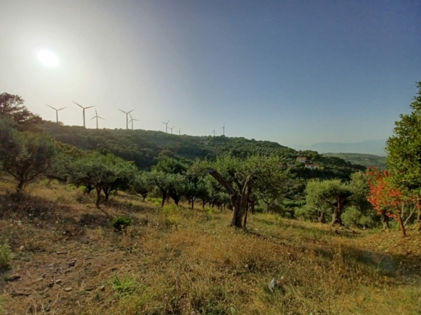 Terreno con rudere ad Albanella in Via Chirico