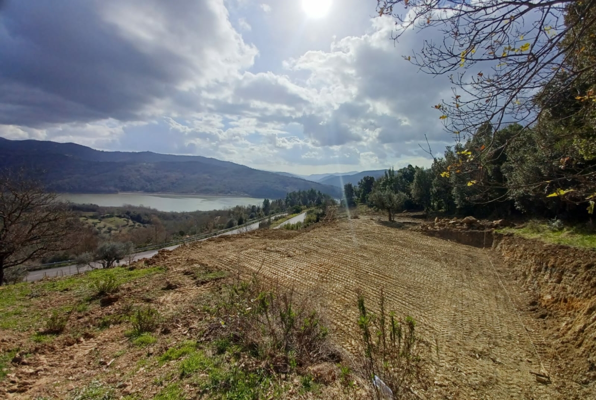 Terreno di 8.000 mq a Cicerale