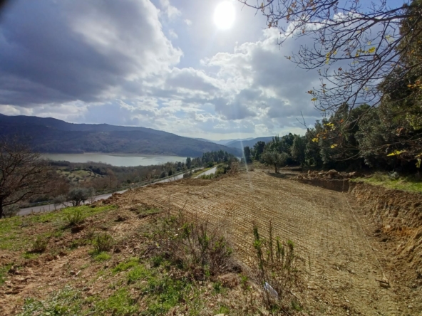 Terreno di 8.000 mq a Cicerale