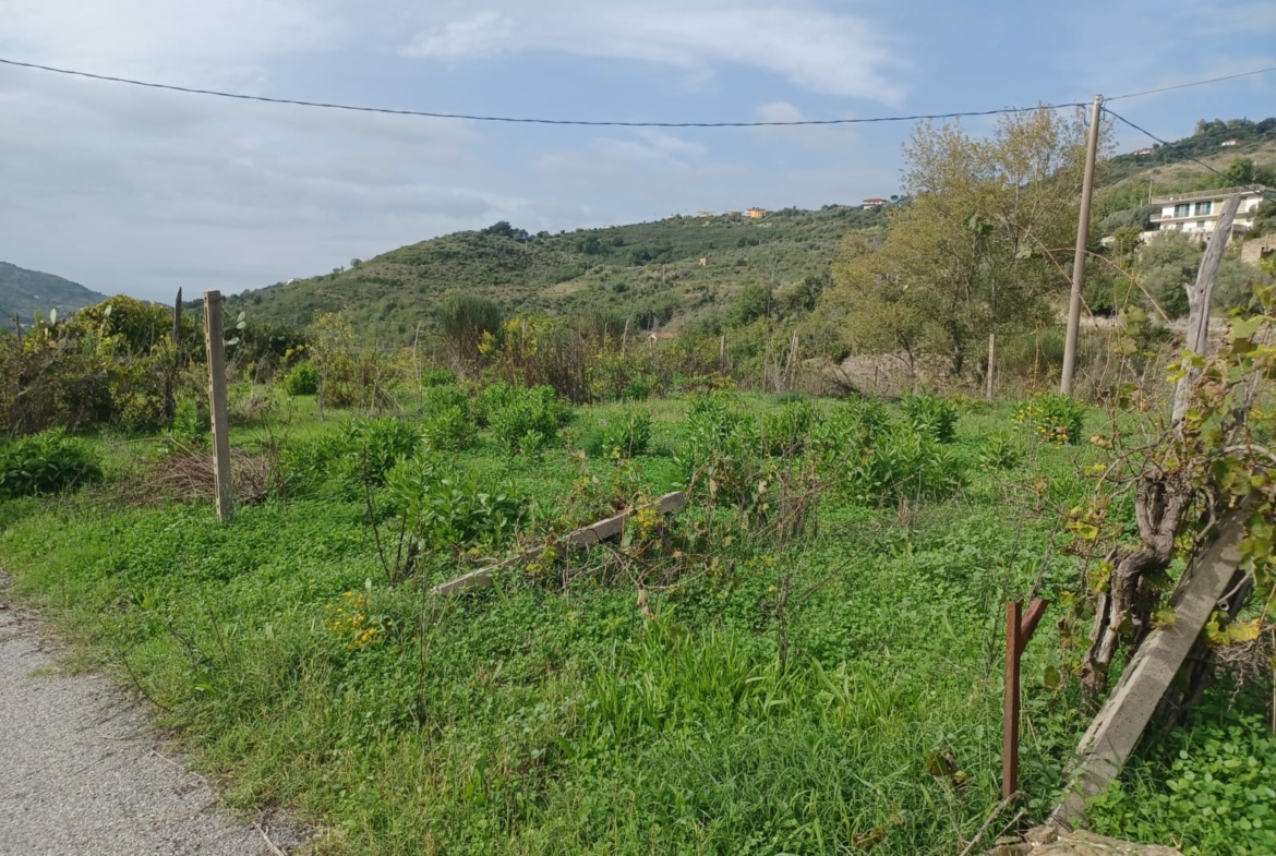 Terreno a Laureana Cilento, Via Pennino