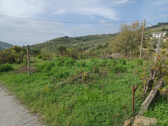 Terreno a Laureana Cilento, Via Pennino