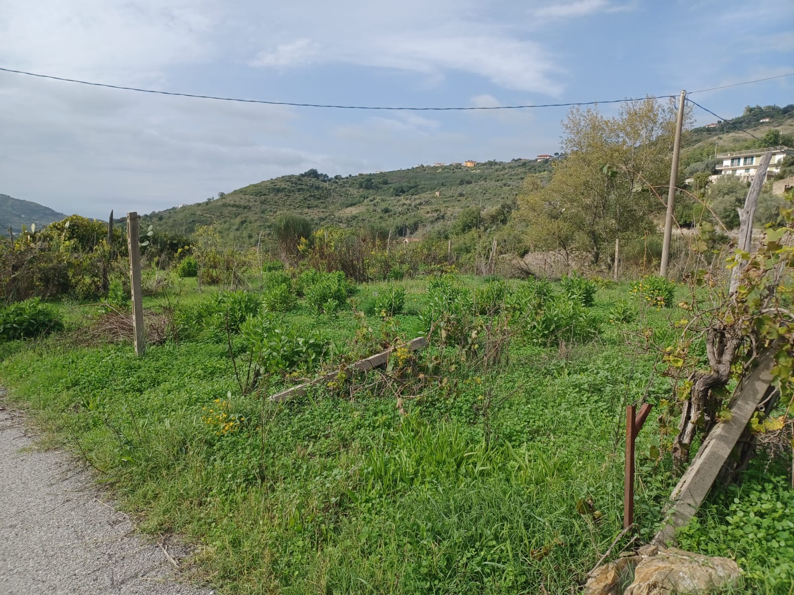 Terreno a Laureana Cilento, Via Pennino