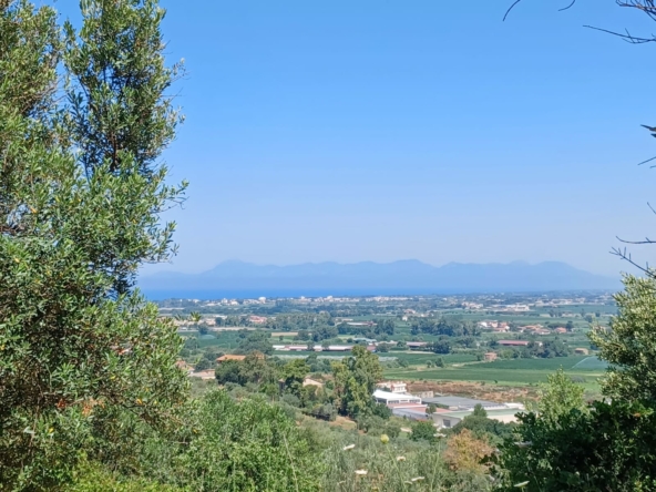Terreno in vendita ad Ogliastro Cilento, Via Difesa Saccarosio.
