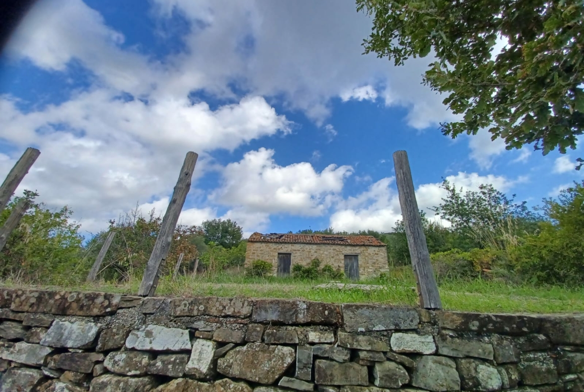 Terreno ad Ogliastro Cilento in Via Santa Maria Biancamano