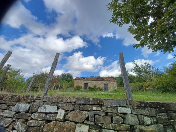 Terreno ad Ogliastro Cilento in Via Santa Maria Biancamano