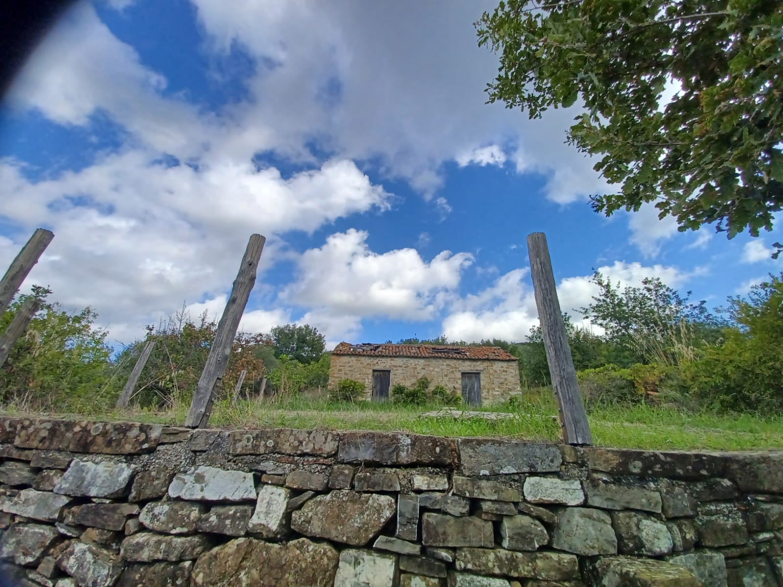 Terreno ad Ogliastro Cilento in Via Santa Maria Biancamano