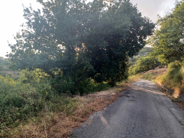 Terreno a Prignano Cilento Via Cerrine