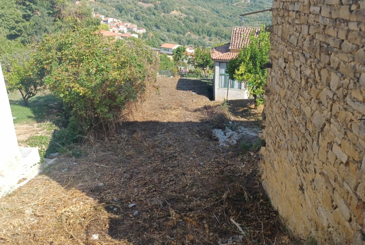 Terreno ad Ogliastro Cilento in Via C. De Stefano
