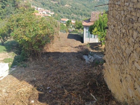 Terreno ad Ogliastro Cilento in Via C. De Stefano