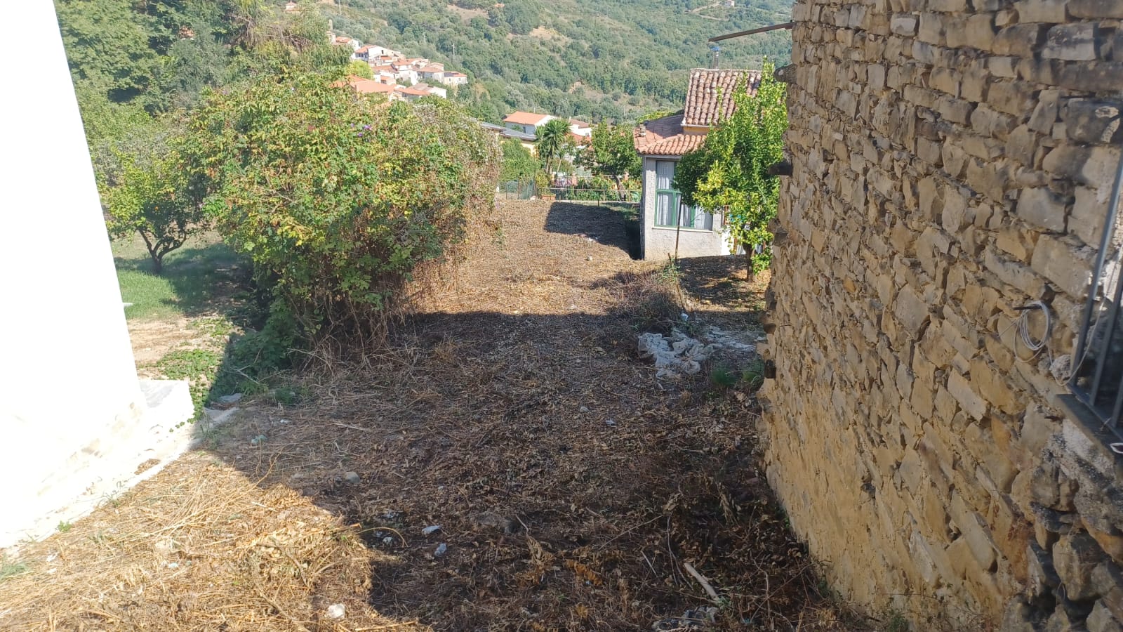Terreno ad Ogliastro Cilento in Via C. De Stefano