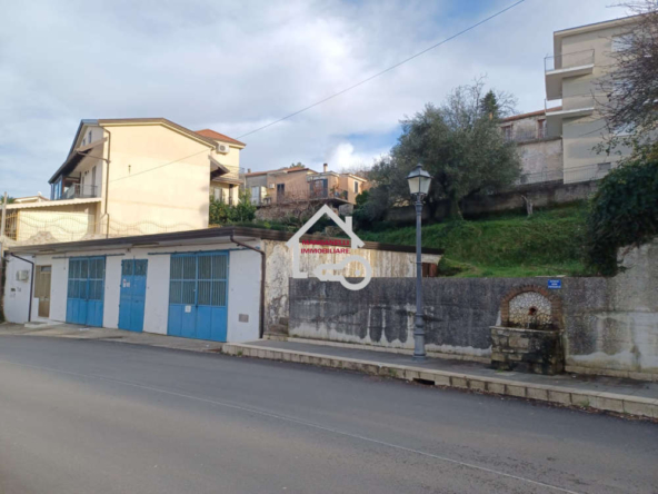 Locali commerciali in Viale San Martino 66 a Laureana Cilento