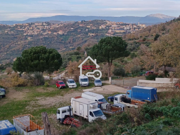 Terreno di 15.000 mq in località San Martino di Laureana Cilento