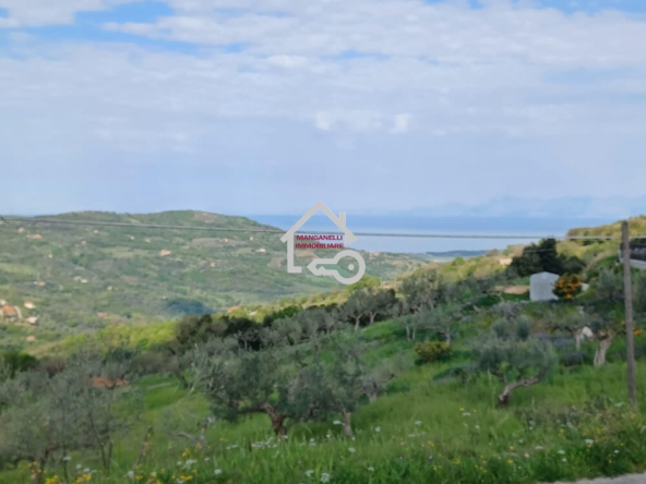 Terreno con rudere a Finocchito di Ogliastro Cilento