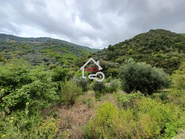 Terreno in strada a Serramezzana in località Santa Maria Capograssi