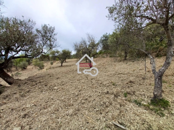 Terreno a Serramezzana in località Compra