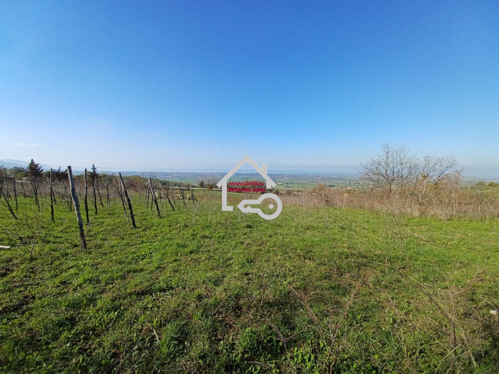 Terreno agricolo panoramico di 14.000 m² a Capaccio sulla strada provinciale 168