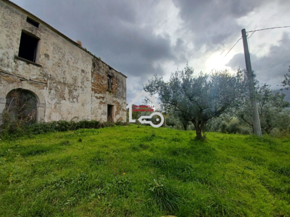 Casolare semindipendente con circa due ettari di terreno ad Albanella