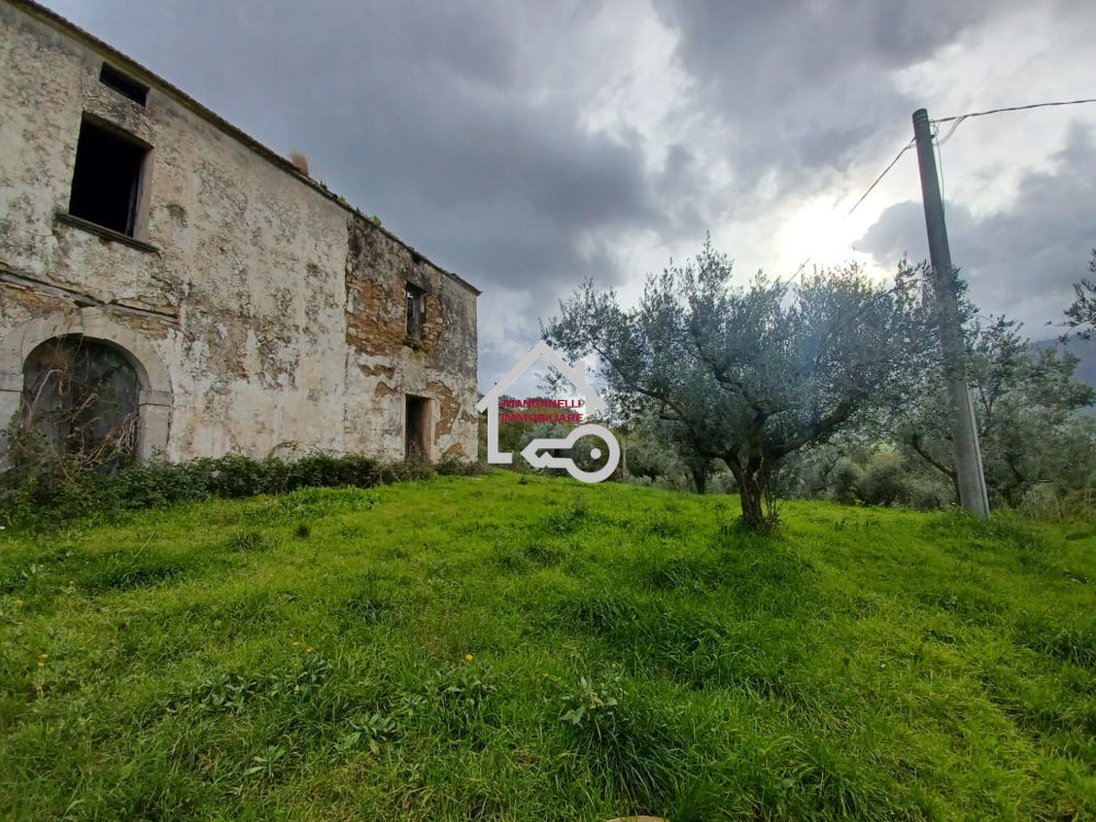 Casolare semindipendente con circa due ettari di terreno ad Albanella