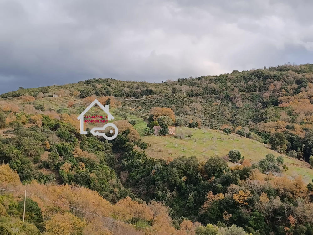 Terreno di 35000 mq con rudere a Cicerale