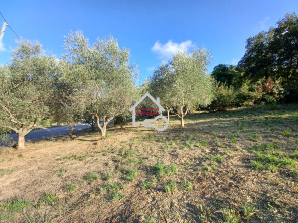 Terreno agricolo con pozzo ad Ogliastro Cilento