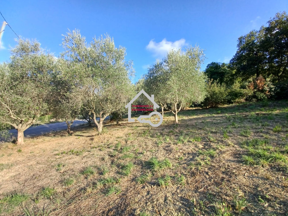 Terreno agricolo con pozzo ad Ogliastro Cilento