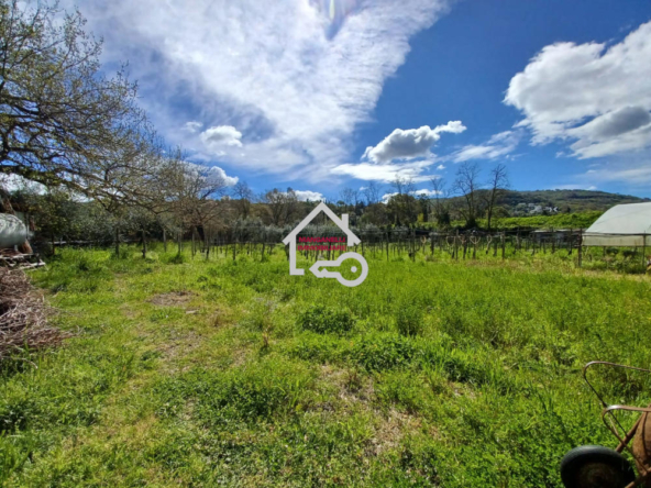 Terreno con pozzo e allaccio corrente trifase ad Agropoli