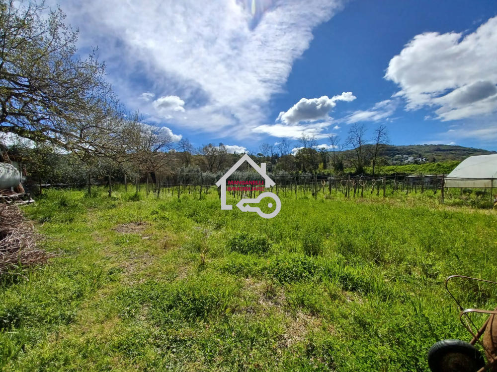 Terreno con pozzo e allaccio corrente trifase ad Agropoli