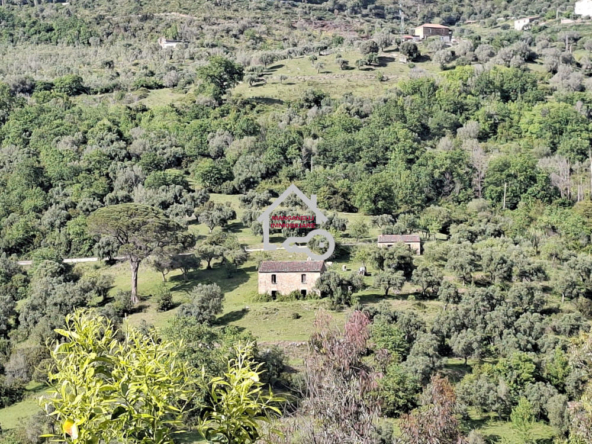 Terreno agricolo con due ruderi a Rutino