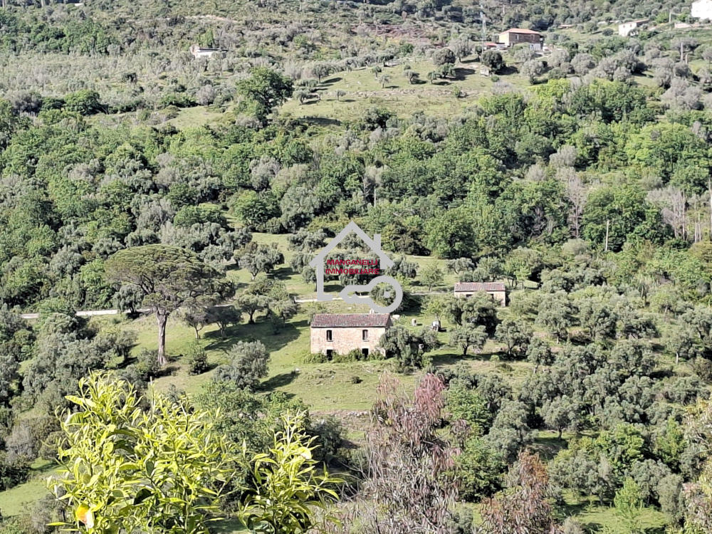Terreno agricolo con due ruderi a Rutino