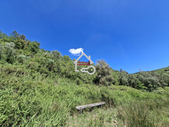 Terreno semi-pianeggiante vista diga a Cicerale