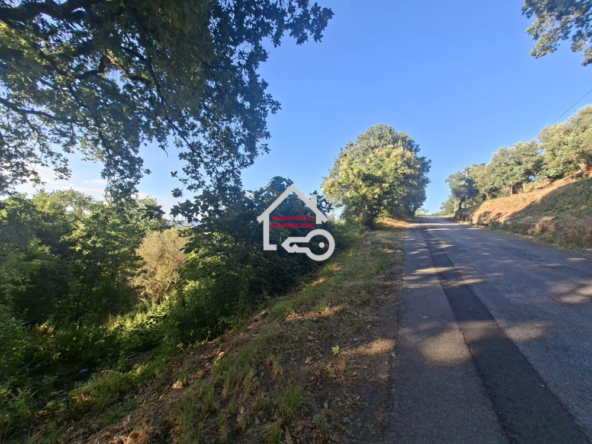 Terreno di 6500 mq vista mare a Laureana Cilento