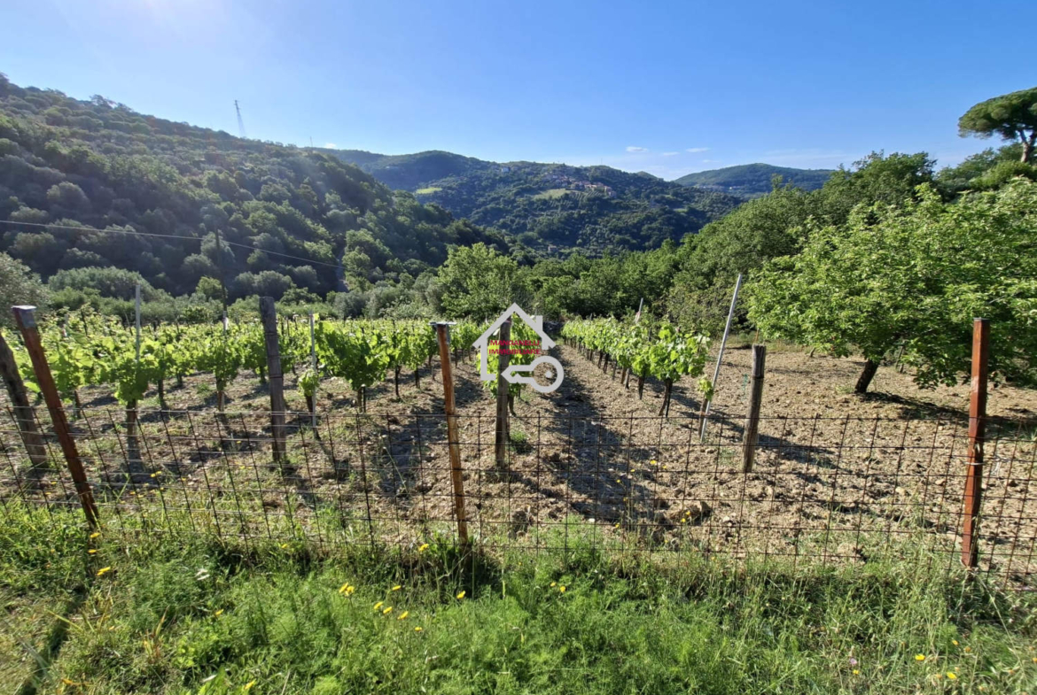 Terreno di 40.000 mq vista mare con due depositi San Mauro Cilento