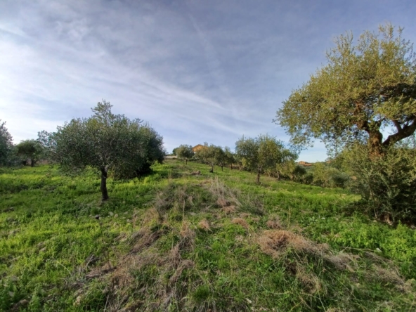 Terreno edificabile di 8325 mq in località Fuonti ad Agropoli