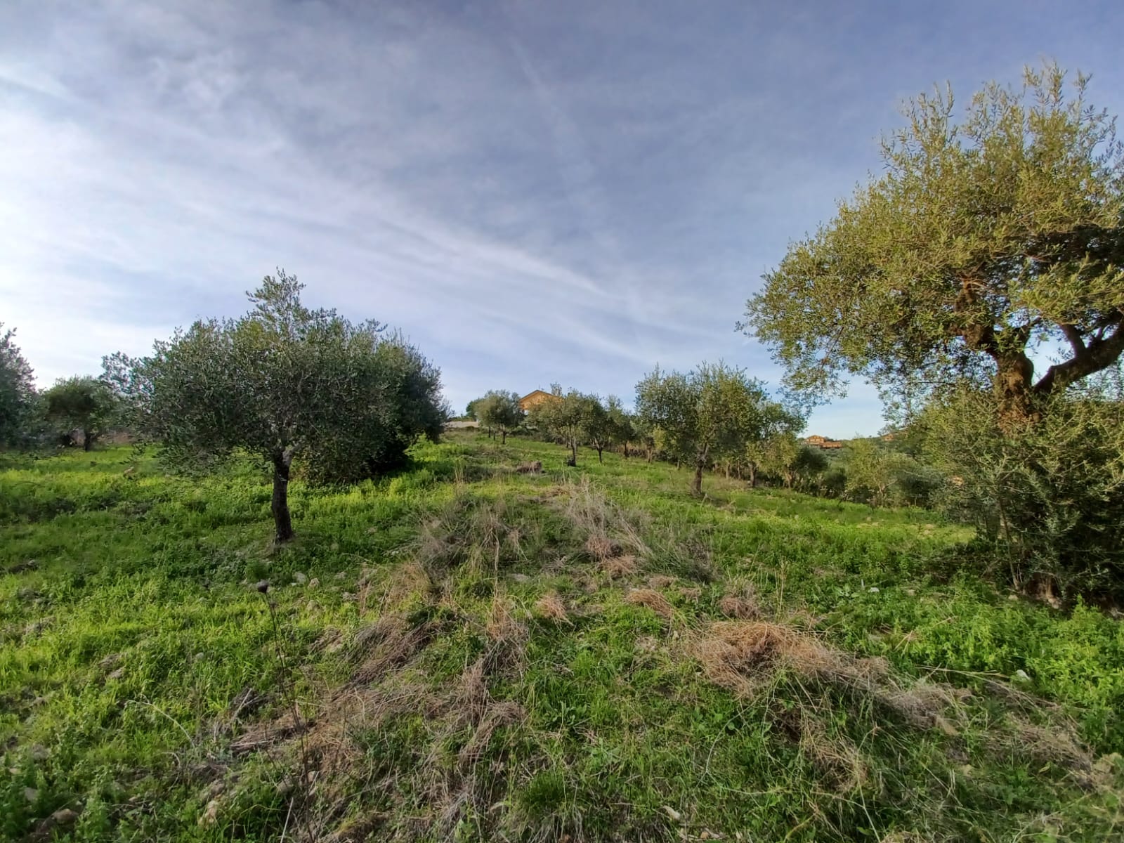 Terreno edificabile di 8325 mq in località Fuonti ad Agropoli