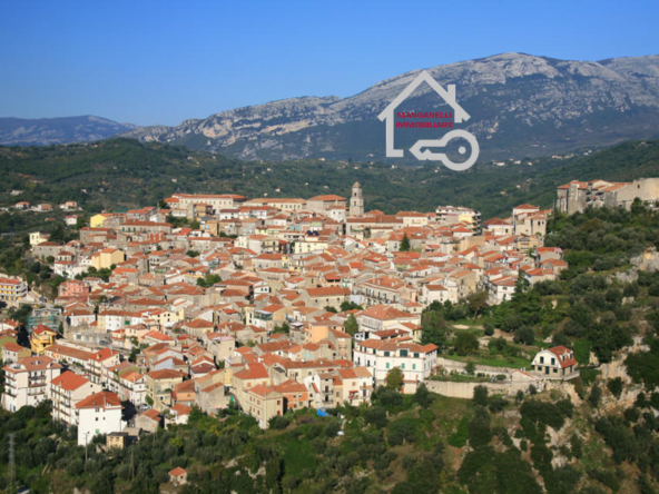 Palazzo storico su quattro livelli con giardino terrazzo e depositi a Laurino