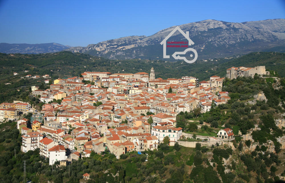 Palazzo storico su quattro livelli con giardino terrazzo e depositi a Laurino